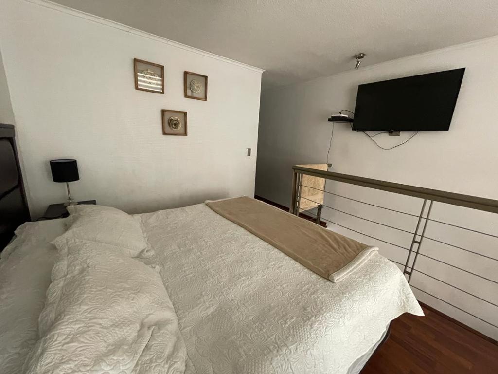 Loft Bellas Artes Lastarria Apartamento Santiago